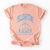 Simply Sage Market Yellowstone National Park Mountain Garment Dyed Tee - 2 of 4