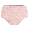 Gerber Baby Girls' Cotton Dress & Diaper Cover Set - 2-Piece - 2 of 4
