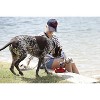 DOOG 3-in-1 Water Bottle & Bowl - Blue - 4 of 4