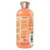 Beloved Peach Prosecco & Mimosa Flower Shower & Bath Gel 11.8oz - 2 of 4