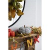 Gulches Series Multicolored Shatterproof Grid Pumpkin Harvest Festival Ornament - 4 of 4