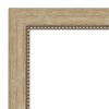 43" x 32" Non-Beveled Astor Champagne Wall Mirror - Amanti Art: Large, Modern, Framed, No Assembly Required - image 3 of 4