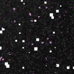 seth freakin rollins