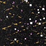 seth freakin rollins