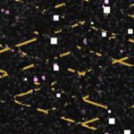 seth freakin rollins