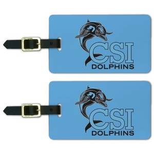 College of Staten Island Primary Logo Luggage ID Tags Suitcase CarryOn Cards  Set of 2 - 1 of 4
