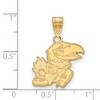 Black Bow Jewelry 10k Yellow Gold Kansas Jayhawks NCAA Medium Pendant - 2 of 3