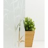 Fablon Set of 2 Bamboo Window Film: Clear Vinyl Privacy Film with UV Protection, Botanical Pattern, 78.74" x 17.71" - 2 of 4