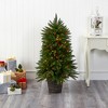 Nearly Natural 5-ft Sierra Fir Artificial Christmas Tree with 200 Multicolored Lights and 428 Bendable Branches in Decorative Container - 4 of 4