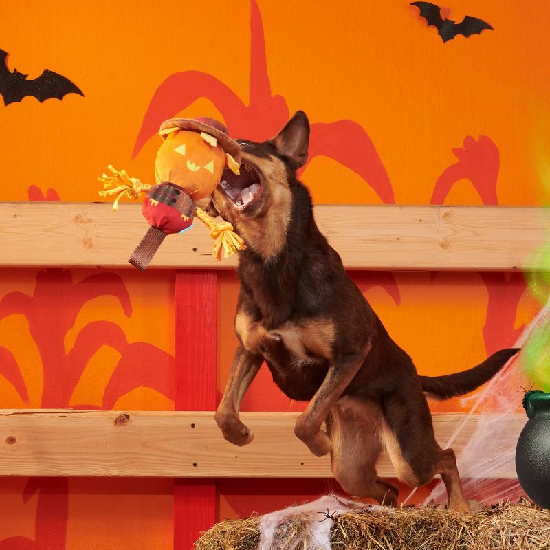 BARK Halloween Jack-Crow-Lantern Dog Toy, 5 of 8