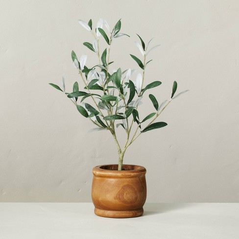 16" Faux Olive Leaf Plant - Hearth & Hand™ with Magnolia - image 1 of 3