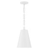 Crystorama Lighting Alston 2 - Light Chandelier in  Matte White/Antique Gold - 4 of 4