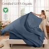 260 Thread Count Organic Cotton Percale Bed Sheet Set by Bare Home - 2 of 4