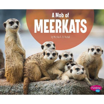 A Mob of Meerkats - (Animal Groups) by  Martha E H Rustad (Paperback)