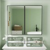 Elise Medicine Cabinet with Mirror, Surface or Recessed Bathroom Medicine Cabinet, Adjustable Tempered Glass Shelves, Reversible, Black - 4 of 4