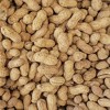 Wildlife Elements Peanut Party Raw In-Shell Peanuts Wildlife Animal Food - 2 of 4