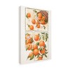 Canvas Wall Art - Xuan Thai  'Orange Blossom Home' Wall Art for Living Room, Bedroom, or Office Décor by Trademark Fine Art - 2 of 4