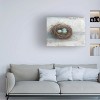 Trademark Fine Art -Ethan Harper 'Rustic Bird Nest I' Canvas Art - 2 of 4