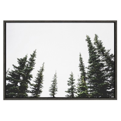Kate and Laurel Sylvie Evergreens Framed Canvas by Patricia Hasz of Patricia Rae Photography, 23x33, Dark Gray