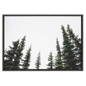 Kate and Laurel Sylvie Evergreens Framed Canvas by Patricia Hasz of Patricia Rae Photography, 23x33, Dark Gray - 1 of 4