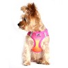 Doggie Design American River Choke Free Dog Harness Ombre Collection-Raspberry Pink and Orange - 4 of 4