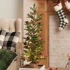 The Lakeside Collection Lighted Country Pencil Pine Tree - 24" - 2 of 4