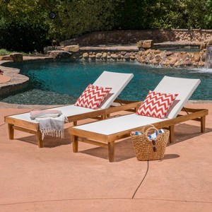 Christopher Knight Home Summerland Outdoor Mesh and Acacia Wood Armless Adjustable Chaise Lounges (Set of 2) - 1 of 4