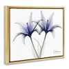 Stupell Industries X-Ray Lily Flowers Black Framed Floater Canvas Wall Art - 3 of 4