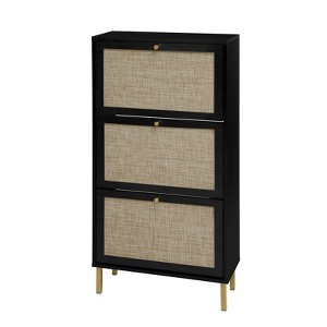 FONTOI 3 Door Shoe Rack with Metal Feet and Foot Pads, Freestanding Shoe Storage Cabinet for Entryway, Living Room, Porch, Black, 9.25"*48.98"*23.62" - 1 of 4