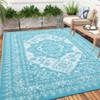 Outdoor Rugs, Reversible Waterproof Patio Rug, Plastic Straw Rug Sun-Resistant RV Mat, Portable Indoor Outdoor Vintage Area Rugs Carpet for Camping - 2 of 4
