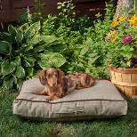 Winn + Willow Sadie Piping Dog and Cat Bed - Beige and Chocolate
