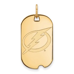 Black Bow Jewelry 14k Yellow Gold Plated Sterling Silver Tampa Bay Lightning NHL Pendant - 1 of 3