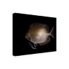 Trademark Fine Art - Ilan Ben Tov Cleaning Station Matted Framed Art - 2 of 4
