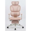 NicBex Adjustable Ergonomic Office Chair with Footrest,Dynamic Lumbar Support,2D Headrest,2D Armrest for Work Study,Pink - 3 of 4