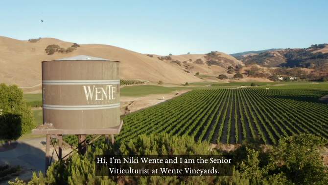 Wente Vineyards Charles Wetmore Cabernet Sauvignon Livermore Valley - 750ml Bottle, 2 of 8, play video