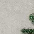 grey/green