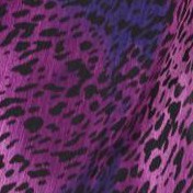 dark violet ombre animal