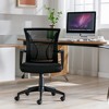 DOMETOUR Flairback Mesh Office Chair-Black - 2 of 4