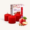 Hyoola Scented Votive Candles - Apple Cinnamon - 12 Hours - 9 Pack - 2 of 3