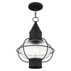 Livex Lighting Newburyport 1 - Light Pendant in  Black - 2 of 4