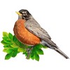 Madd Capp Puzzles: I AM ROBIN - 300 Piece Jigsaw Puzzle - Bird Shaped Puzzle - 2 of 4