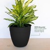 Bloem Dayton Round Resin Planter Pot Indoor and Outdoor Gardening - 2 of 4