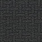 penn state nittany lions