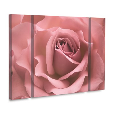 Cora Niele 'Misty Rose Pink Rose' Floating Brushed Aluminum Art