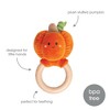 Pearhead Pumpkin Halloween Plush Wooden Teether Baby Toy - 0m+ - 2 of 4