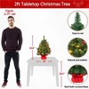 Yaheetech 2Ft/3Ft Tabletop Christmas Tree with LED Lights & Red Berries, Green - 3 of 4