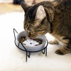 Pavilion Gift Company - Meow - Cat Kitten Feline 13 oz Food Water Ceramic Dish Bowl Iron Stand Whisker Friendly - 2 of 4