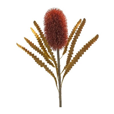 Melrose Banksia Floral Stem (Set of 6)