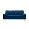 65'' Velvet Minimalist Loveseat Sofa with Metal Legs, Includes Cushions, Suitable for Living Room or Bedroom - 3 of 4