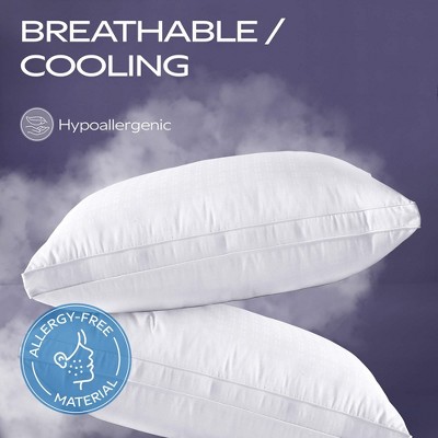 Luxurious Hypoallergenic White Cotton Queen Bed Pillow - 2 Pack